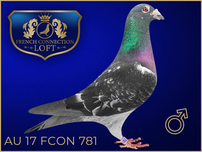 AU 17 FCON 781