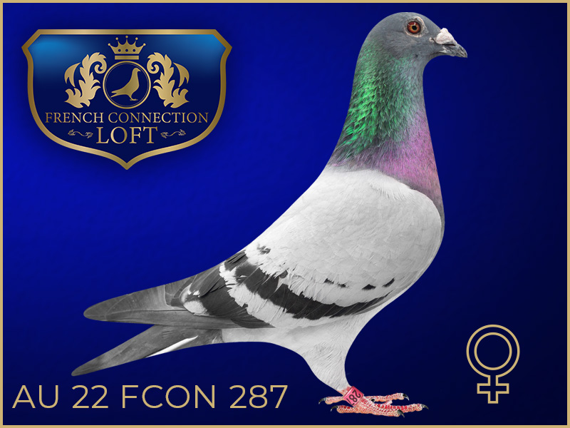 AU 22 FCON 287