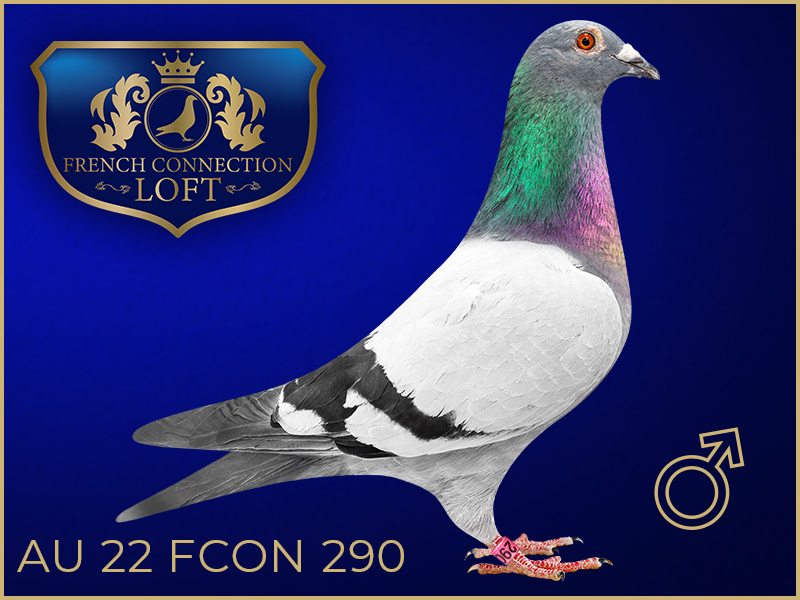 AU 22 FCON 290