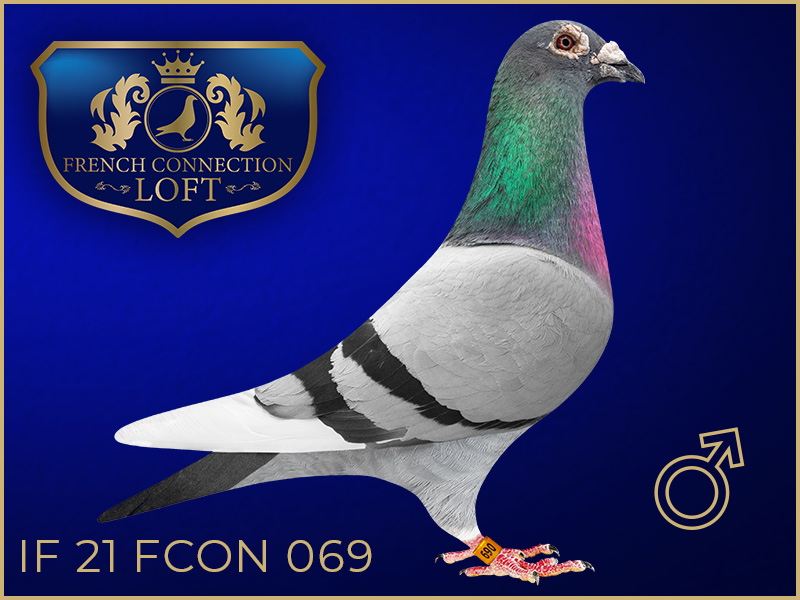 IF 21 FCON 069