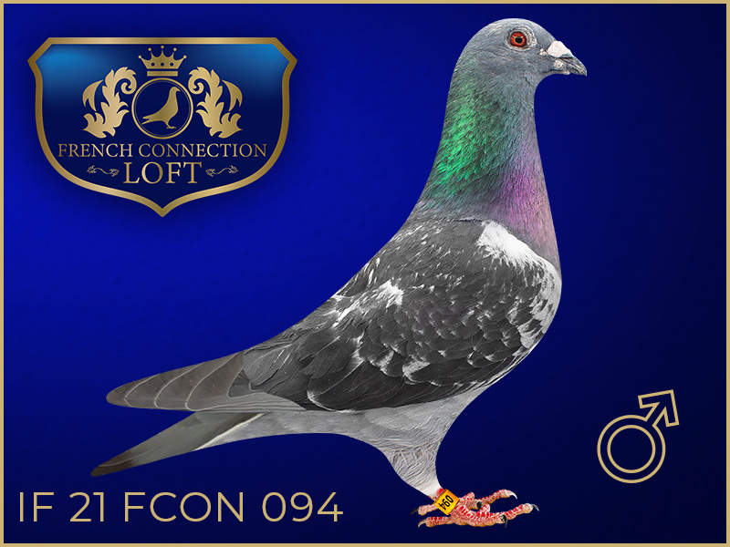 IF 21 FCON 094